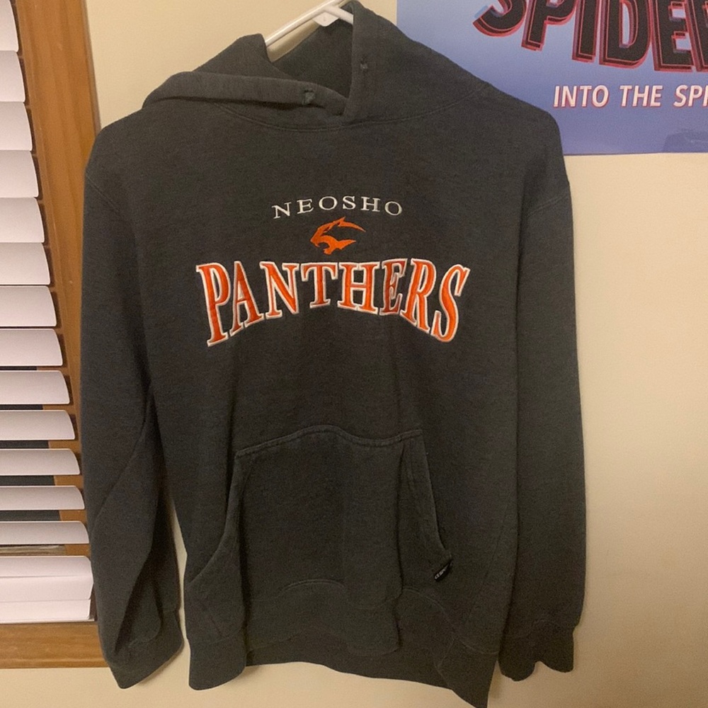 panthers hoodie